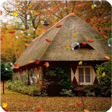 Autumn Live Wallpaper 图标