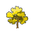 코인나무 : 부자되는 나무 icône