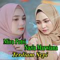 Terdiam Sepi Nazia Mira Ofline