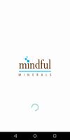 Mindful Minerals Plakat