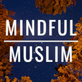 Mindful Muslim ikona