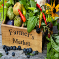 farmer'soko