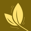 Air Quality: Monitor AQI APK