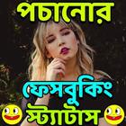 মেয়েদের পচানোর স্ট্যাটাস icon