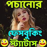 মেয়েদের পচানোর স্ট্যাটাস icon