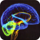 Mind Mender 2 APK