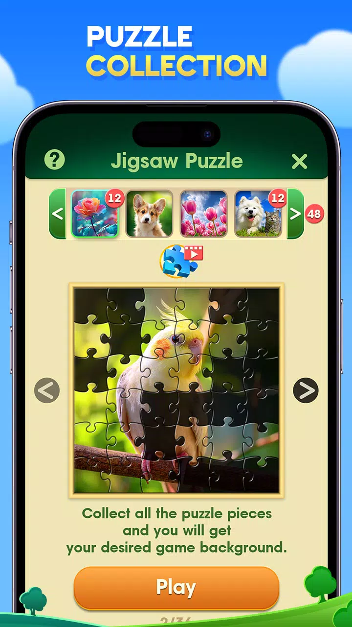 Spider Solitaire: Classic Card