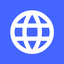 Minds Networks Previewer aplikacja