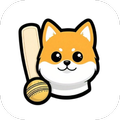 Shibu11 - Fantasy Prediction