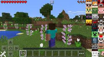 پوستر Morph Mod Minecraft