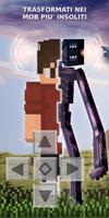 Poster Morph Mod for Minecraft PE
