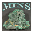 MINS 图标