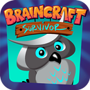 BRAINCRAFT Eğitici Zeka Uyg. APK