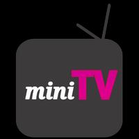 Mini TV पोस्टर