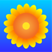 Sunflower Browser