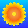 Sunflower Browser