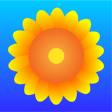 Sunflower Browser icône