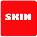 APK Skin for Mini World