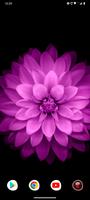 iPhone Backgrounds 截圖 3