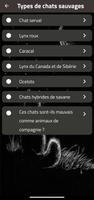 les chats sauvages captura de pantalla 1