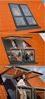 skylight window Poster