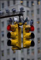 street photography 截圖 1