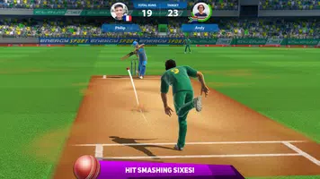Cricket League Screenshot 1