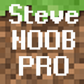 Steve vs NOOB vs PRO