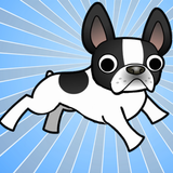 French Bulldog World APK