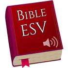 Holy Bible English Standard Ve icône
