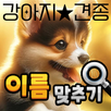 도전 강아지 이름 맞추기 APK
