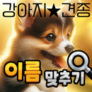 도전 강아지 이름 맞추기 APK