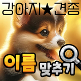 도전 강아지 이름 맞추기 APK