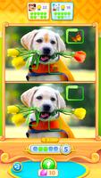 Fun Differences постер