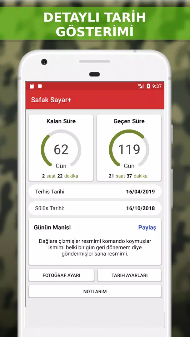 elsa arka plan amerikan evlilik ajansları