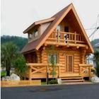minimalist wooden house design icône