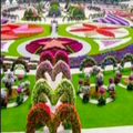 minimalist flower garden