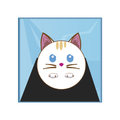 Minimo Cat Hop