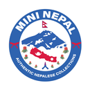 Mini Nepal Driver APK