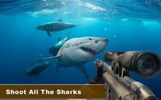 Real hunting sharks poster