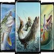 Fishing Wallpaper