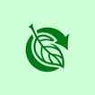 Minty Flow icon