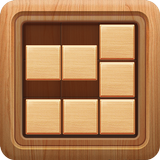 Mind Block Puzzle