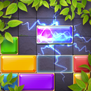 Drop Match - Block Puzzle Game APK
