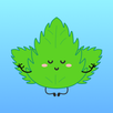 Mint VPN APK