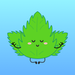 Mint VPN