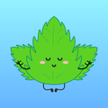 Mint VPN