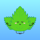 Mint VPN APK
