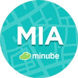 Miami أيقونة