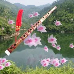 Bamboo flute sleep music XAPK download